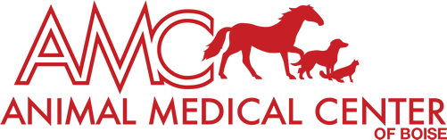 Animal Medical Clinic